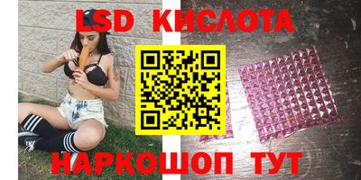 стаф Кандалакша