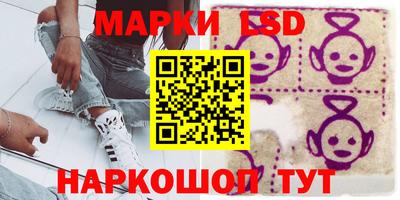 стаф Кандалакша