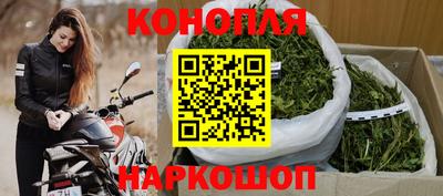 спиды Канаш